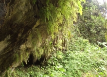 Imagen Cuevas del Diablo